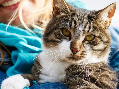 astronaut Methode serveerster Katten | 101 tips voor verzorging en medische zorg