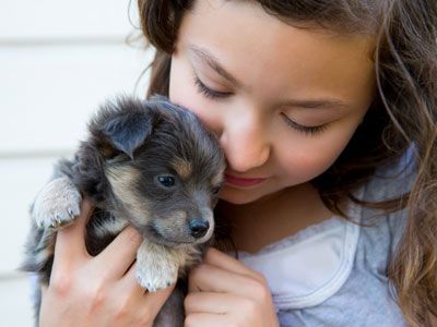 aardbeving cap lade Honden | 101 tips voor de zorg en verzorging van je hond
