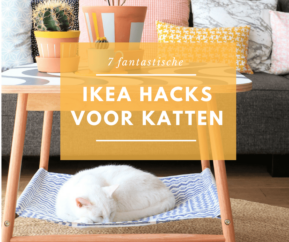 analyseren Idool Cataract 7 IKEA hacks die je kat fantastisch zal vinden